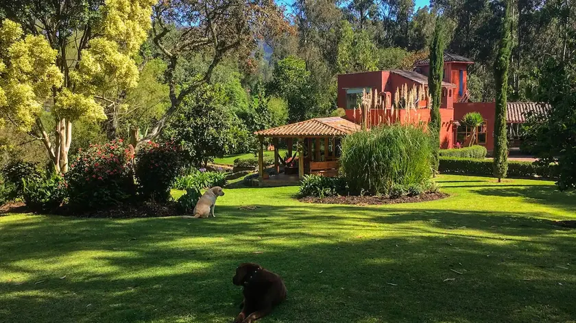 Cachafaz de Alanga: water and garden in Los Chillos - Image 1