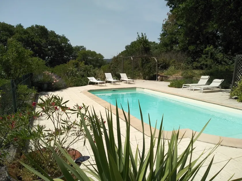 Reunion • huge enclosed garden • sleeps 20 - Image 1