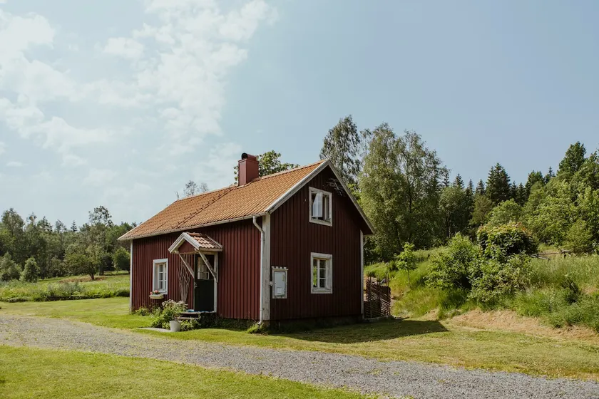 Carpenter Boa in Kylås Wilderness - Image 1