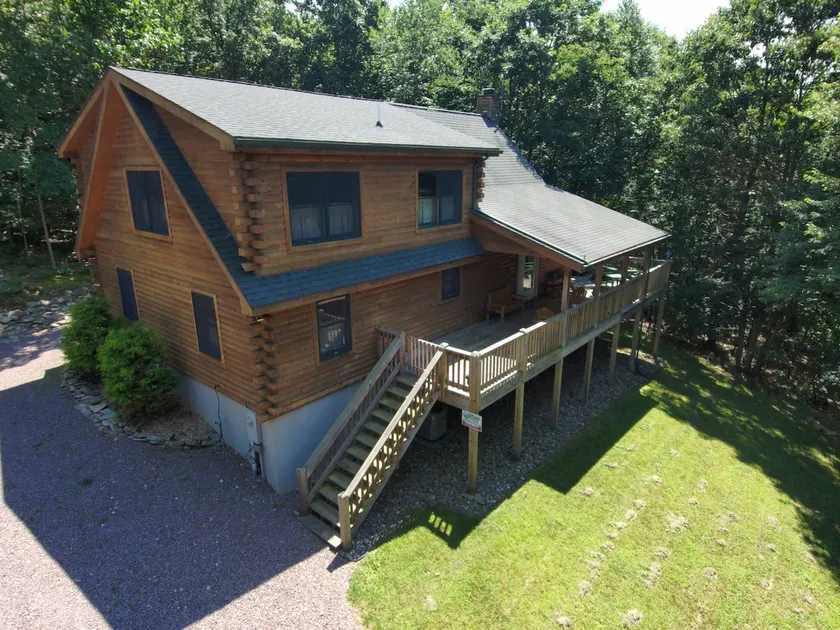 Mountain Maryland! Bear in the Woods - Image 1