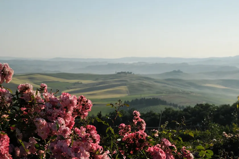 Panoramic Country Suite Montalcino - Image 1