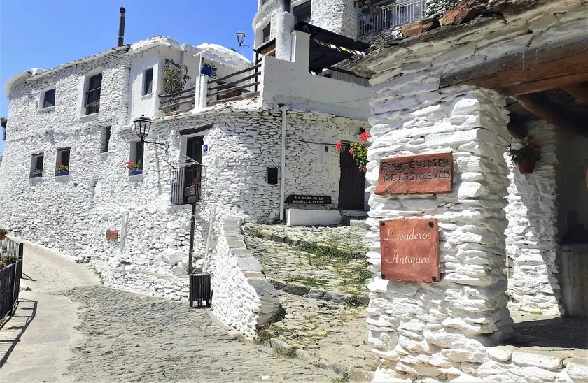 La Casa de la Bombilla Verde - Image 1