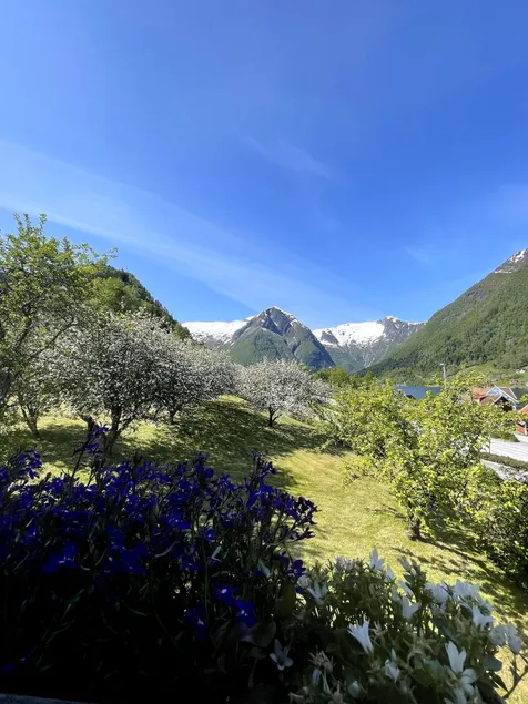 Kaivegen 2 - Image 1