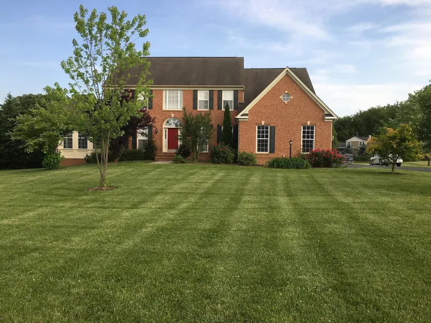 A Hidden Jewel in Loudoun County, Virginia - Image 1