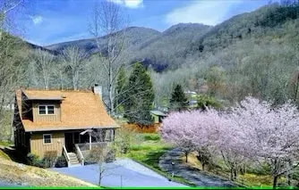 Lazy Bear- quaint, cozy, Hot Tub, Wi-Fi, Motorbike - Image 1