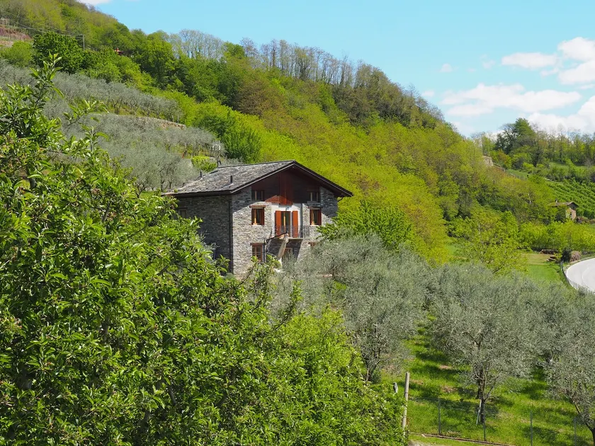 fantastic villa in the Valtellina Alps - Image 1