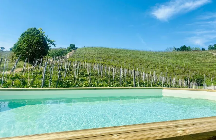 Madama Langa Country House con piscina nelle vigne - Image 1