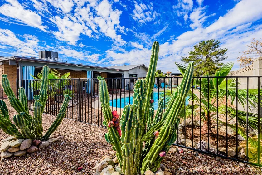 Entire home, Pool & Spa in Desirable East Tucson - Image 1