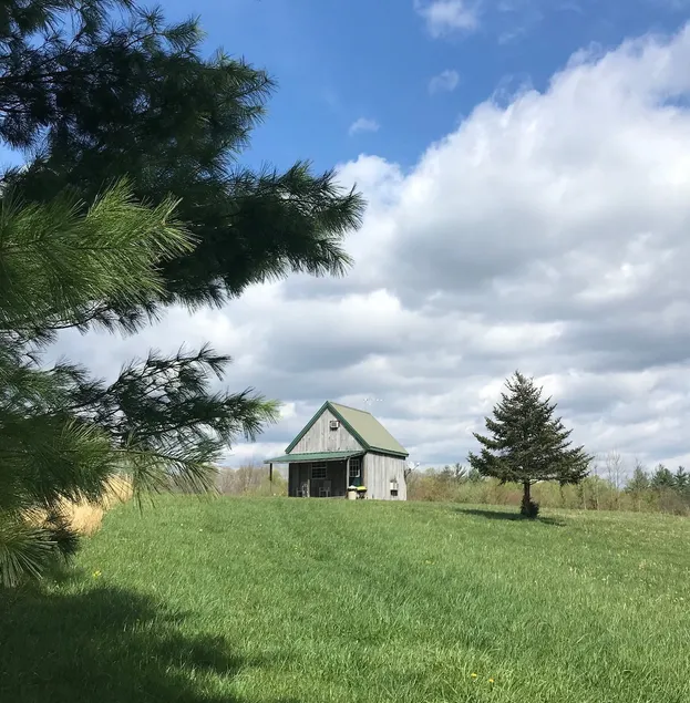 White Pine Cabin - Image 1