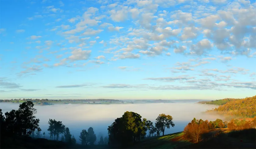 Serene Wellness Retreat – Farm and Forest Views - Image 1