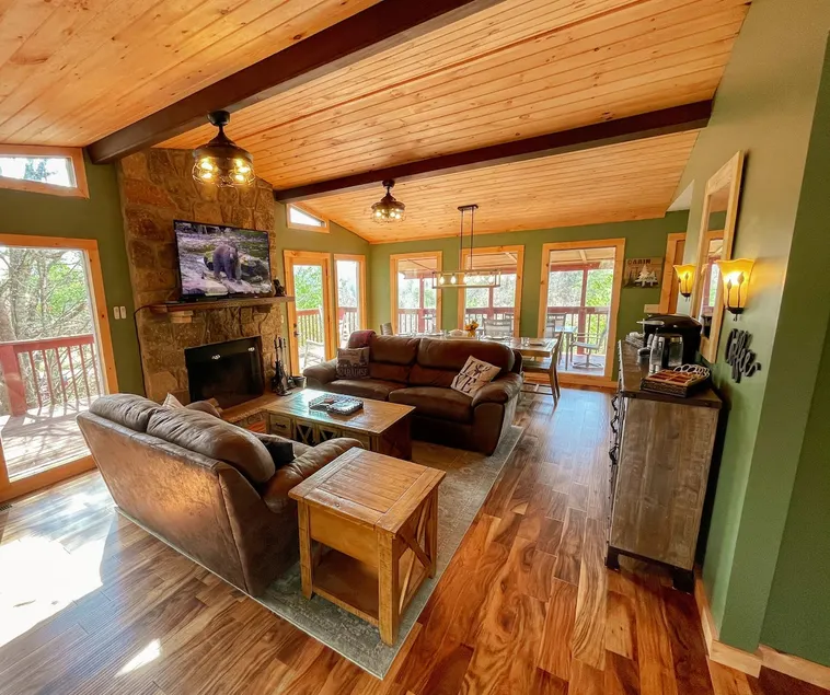 Amazing View Dollywood Pet-Friendly Mountain Cabin - Image 1