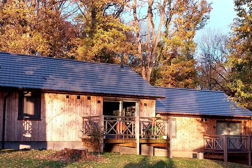 Chalet 196 in the Ourthe Forest - Image 1