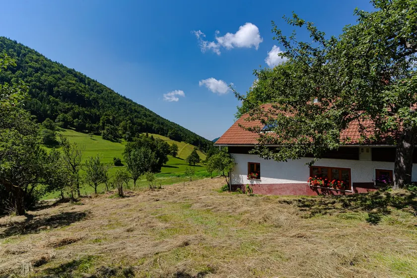 Experience peace in well perserved nature - Image 1