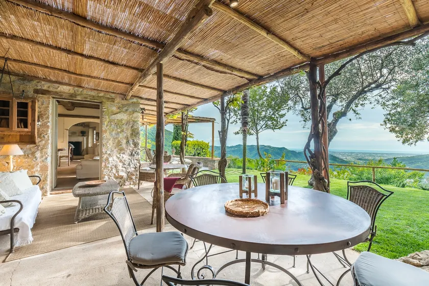 Borgo Metato – Olive Grove - Image 1