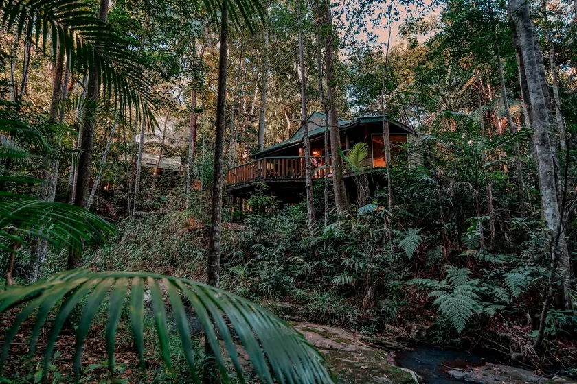 Rainforest Villa Escape in the Hinterland - Image 1