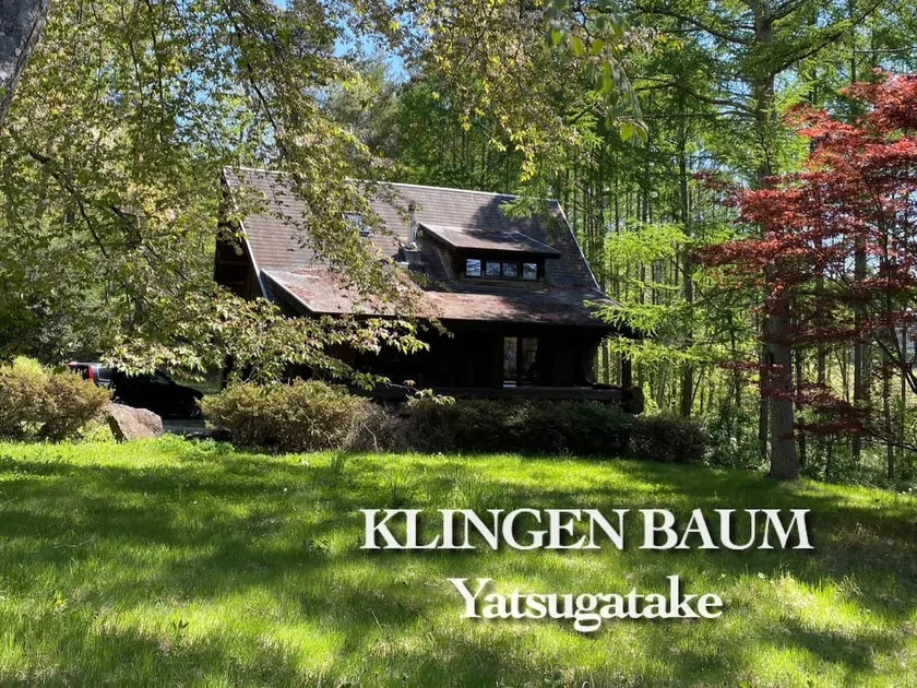 Yatsugatake Log House: Family, Pets & BBQ Fun! - Image 1
