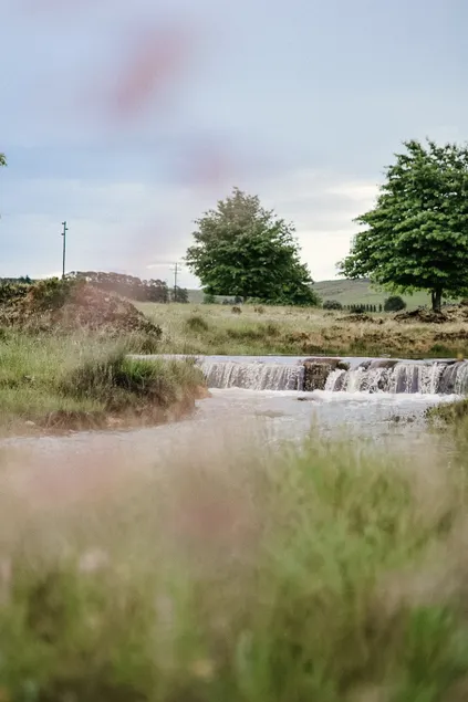 Forest Dawn Lodge - Image 1