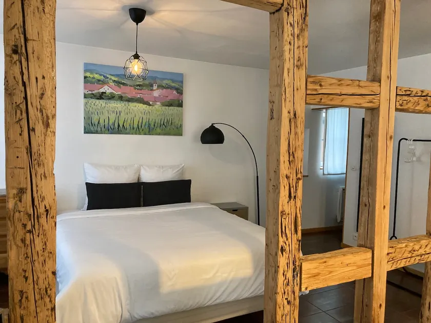 40 m² apartment, near Strasbourg, Parliament & CMCO - Image 1
