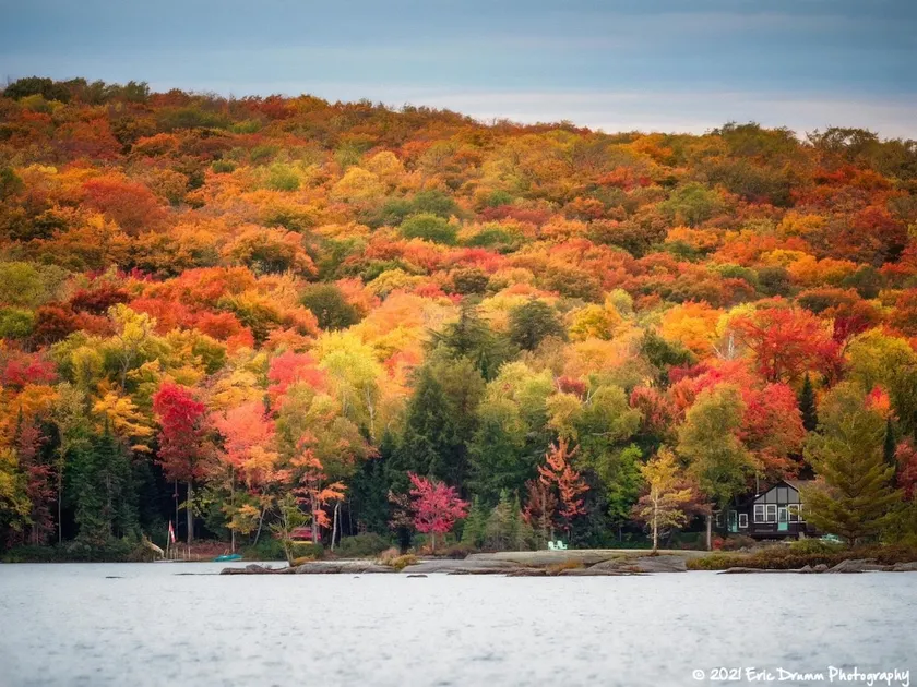 Tranquility on Eagle Lake - Image 1