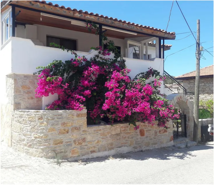 Ground floor stone house in Datça Palamutbükü region - Image 1