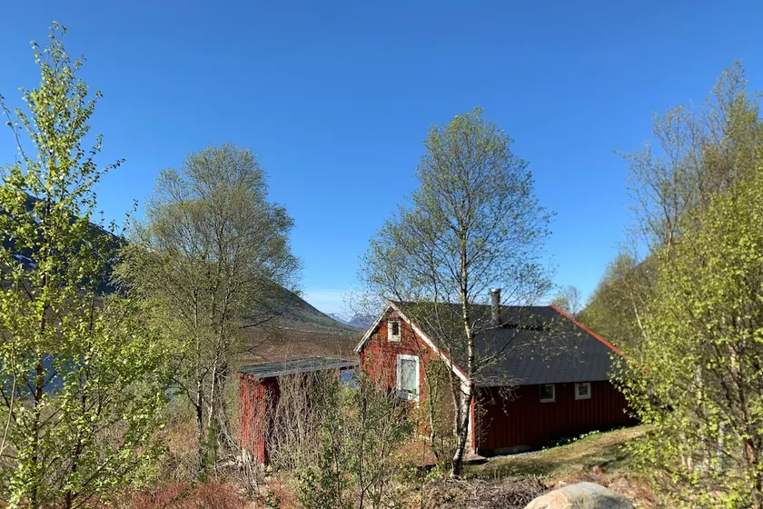 Peaceful cabin retreat in the Norwegian mountains - Image 1
