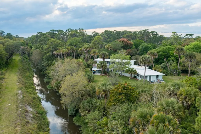Mid-Century Tropical Oasis with Private Patio - Image 1
