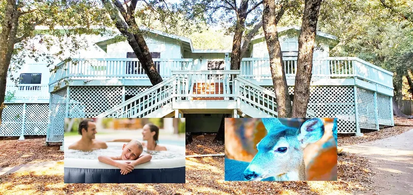 ”Amongst the Deer” Spa Pets ok A Julian Favorite - Image 1
