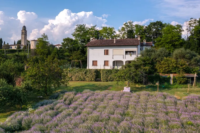 The lavender house between Venice and Cortina - Image 1