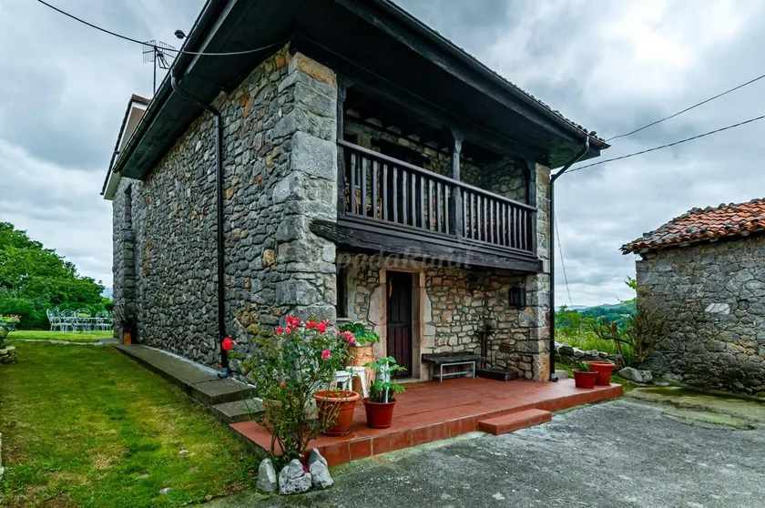 Flor de Pomar - Image 1