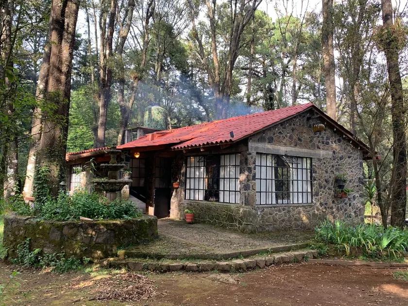 Beautiful cabin in the woods - Image 1