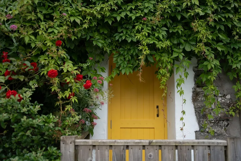 The Roost Boutique townhouse in Westport town. - Image 1