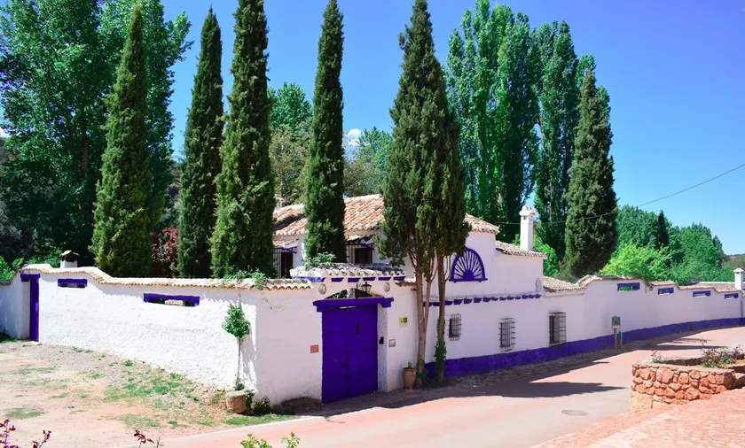 Sale of the Celemín - Image 1