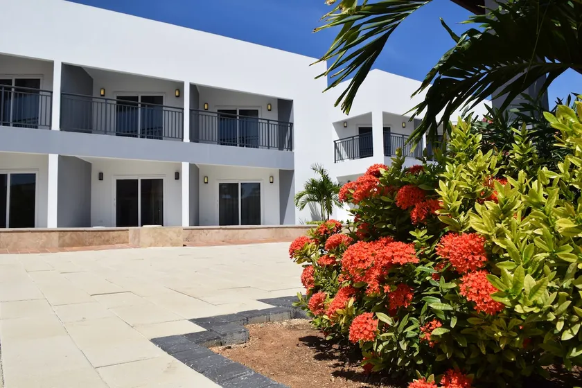 25%OFF Girasol Condo Arena at Eagle Beach - Image 1