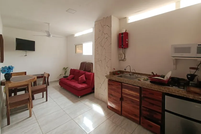 PALMAS DE CHAHUE B (387 SF) - Image 1