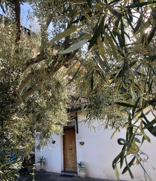 L'Ulivo Vacation Home - Image 1