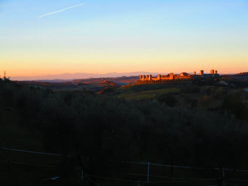 The Almond Tree of Monteriggioni - Image 1