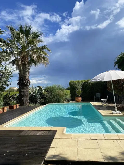 MasAupellière, the little Camargue - Image 1