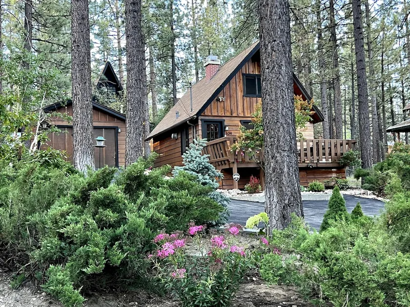 4.9 STARS Bee Hive Cabin Spa $0 Pet Fees Fireplace - Image 1