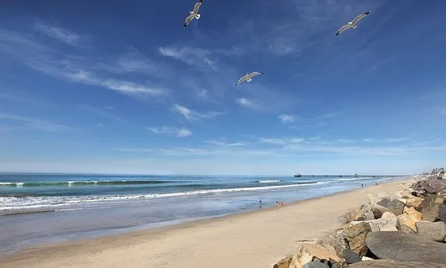 Gorgeous Oceanside Sunsets on The Strand-Watch Waves and Dolphins - Image 1
