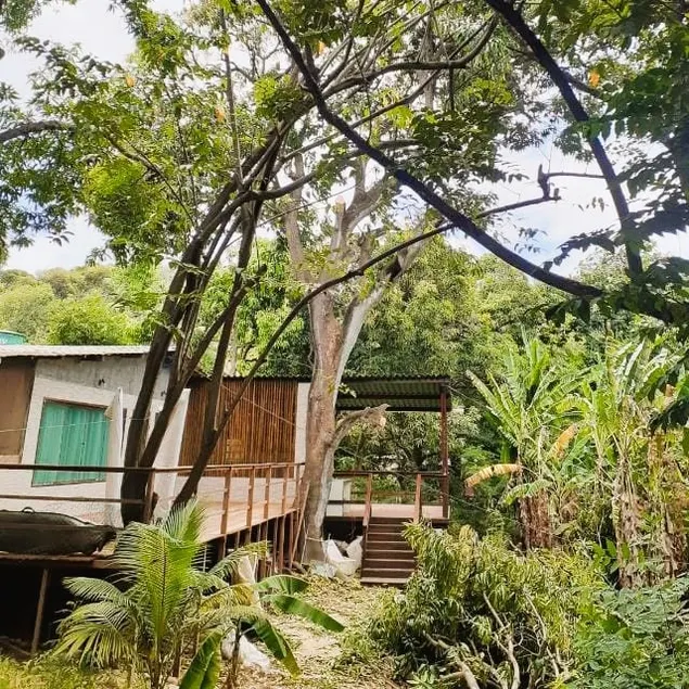 Marcia's house - Image 1