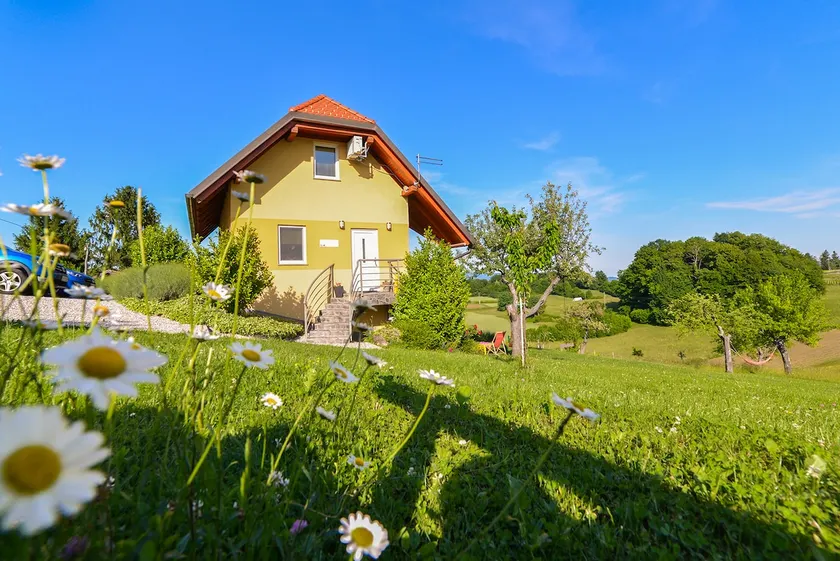 Retreat w/ fire pit - 10 mins to Terme Čatež - Image 1