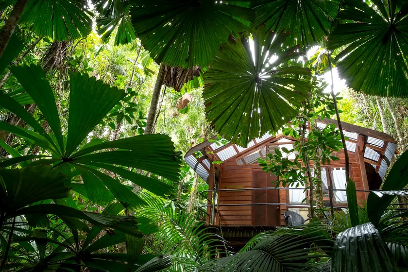 Rainforest Hideaway at Daintree Wilderness Lodge - Image 1