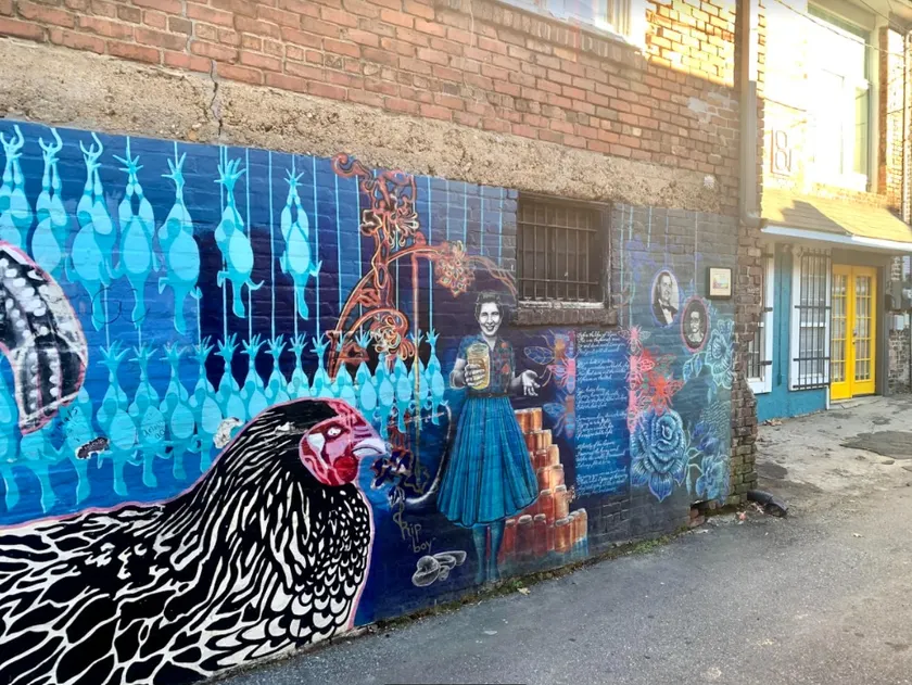 Trendy & Spacious Apartment on Chicken Alley, in the heart of Downtown Asheville - Image 1