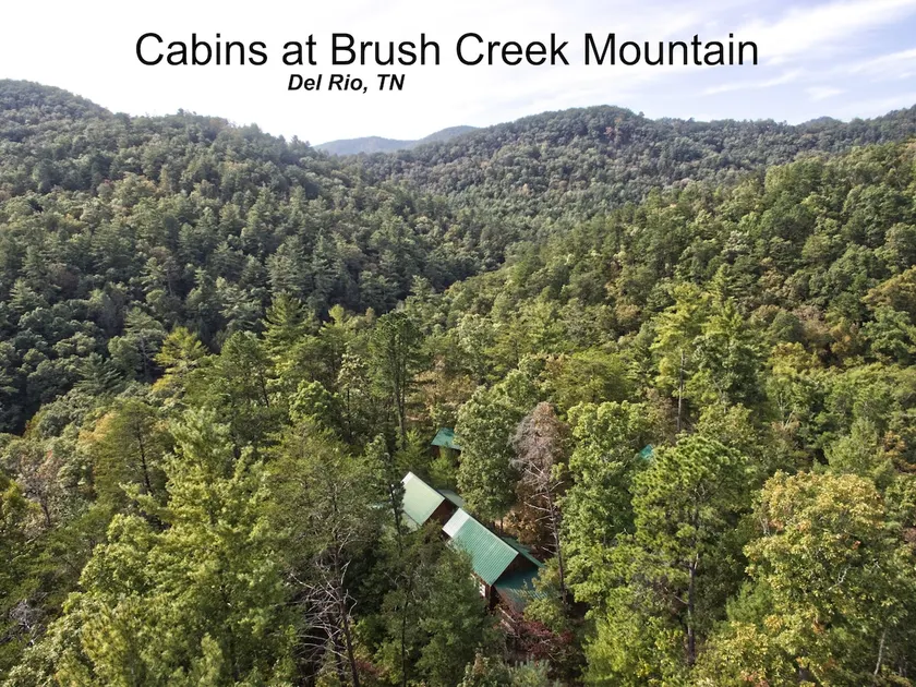 Cabins at Brush Creek Mtn - Falcons Nest - Image 1