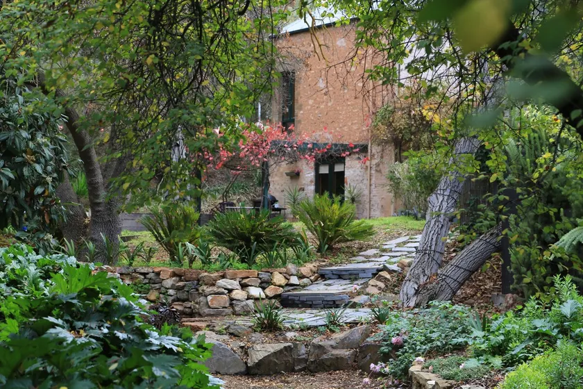 Wild Olive Cottage Clare Valley - Image 1