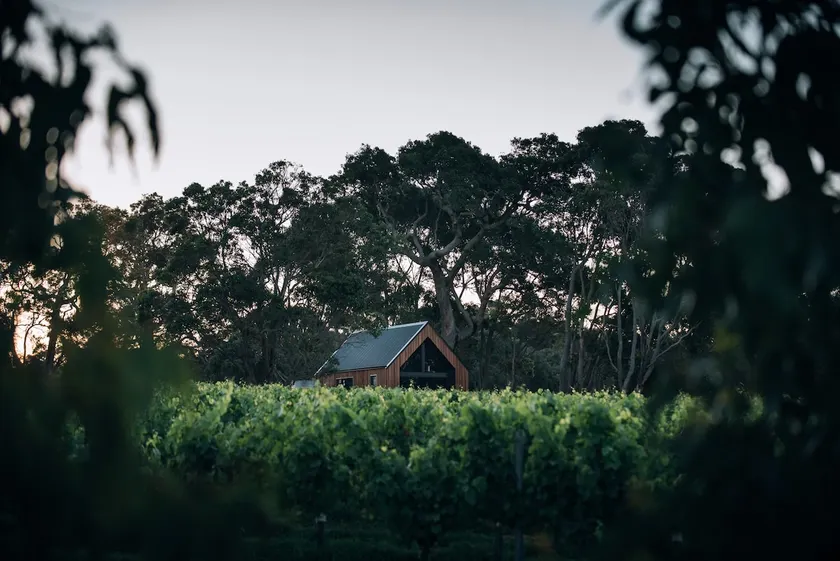 Petit Eco Cabin at Windows Estate - Image 1