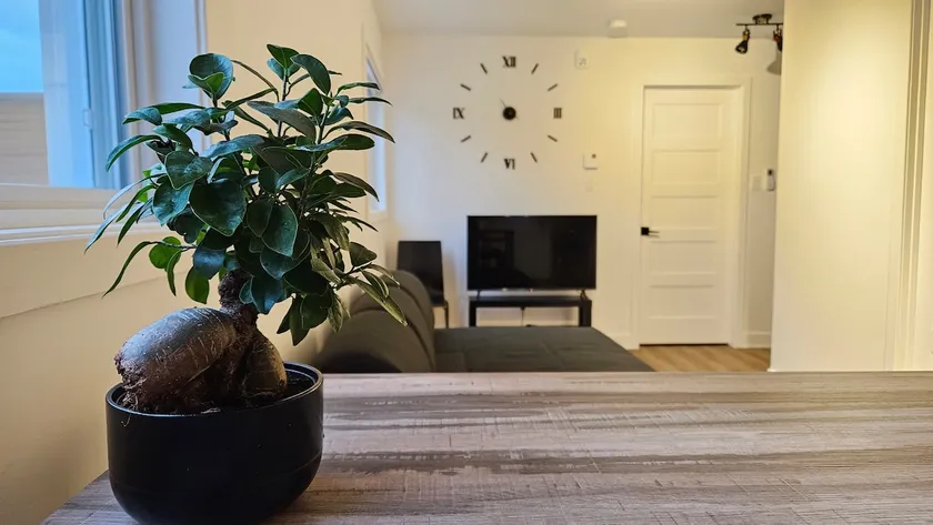 In the heart of the village - Apartment 6 - Image 1