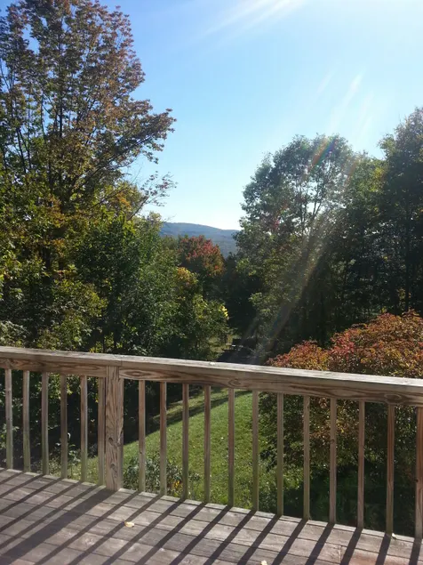 Catskills mountain view chalet - Image 1