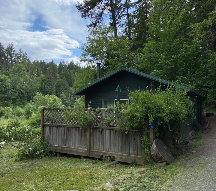 Cozy light-filled cabin in the woods - Image 1