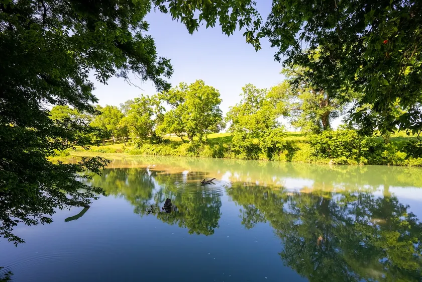 Tube, Float & Relax, Texas State Parents - Image 1
